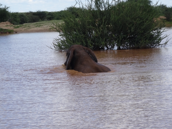 8C Erindi GP _DSC00831