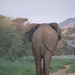 8E Erindi GP, sunset safari _DSC00916