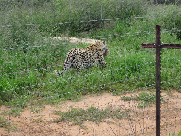 9E Na’an kuse _DSC00975