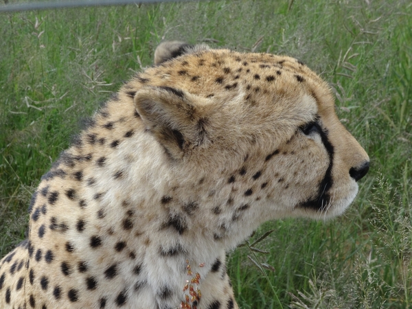 9E Na’an kuse _DSC01007