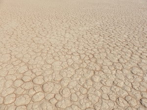3I Namib woestijn, Deadvlei _P1050023