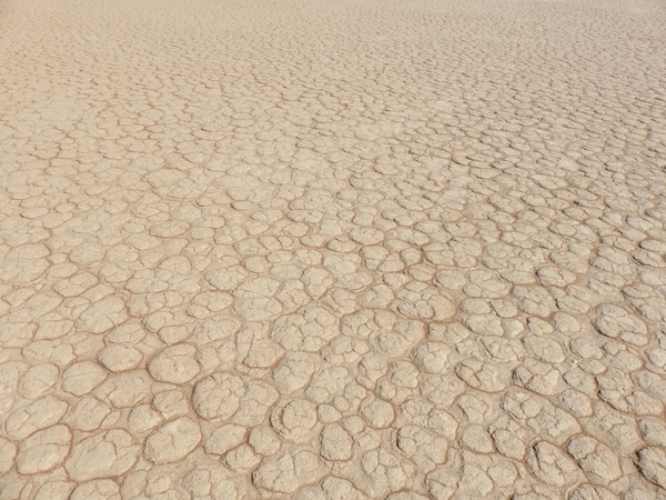 3I Namib woestijn, Deadvlei _P1050023