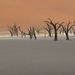3I Namib woestijn, Deadvlei _P1050033