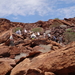 5D Twyjfelfontein _DSC00482