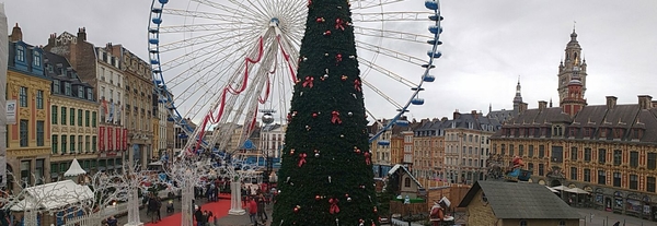 Lille Rijsel