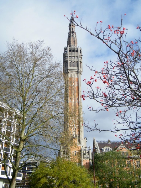 Lille Rijsel