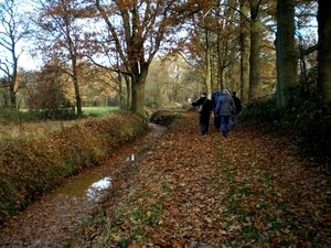zou da de Rijselsestraatvliet zijn ?