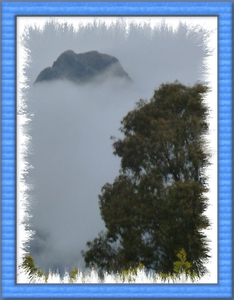 berg rots heel in de mist zie nog een beetje