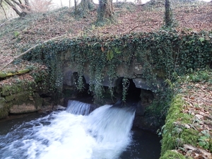 L'etang du Neufmoulin - Orval (4)