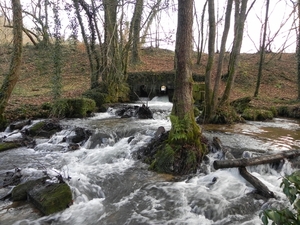 L'etang du Neufmoulin - Orval (5)