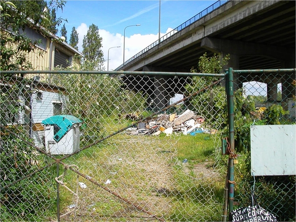 Verlaten Lobroekdok (17)