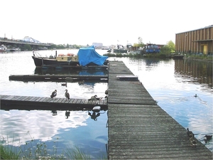 Verlaten Lobroekdok (19)
