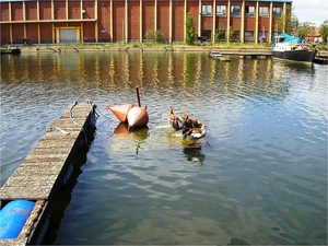 Verlaten Lobroekdok (23)