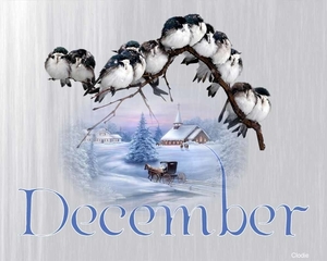 Kalender december Clodie