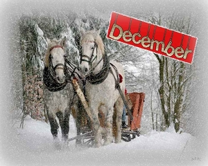 Kalender december Minky1