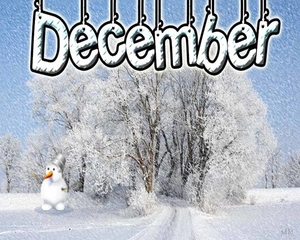 Kalender december Minky2