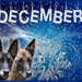 Kalender december Sien1