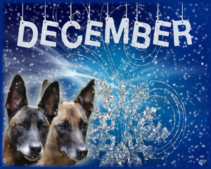 Kalender december Sien1