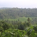 Vihara Dharma Giri