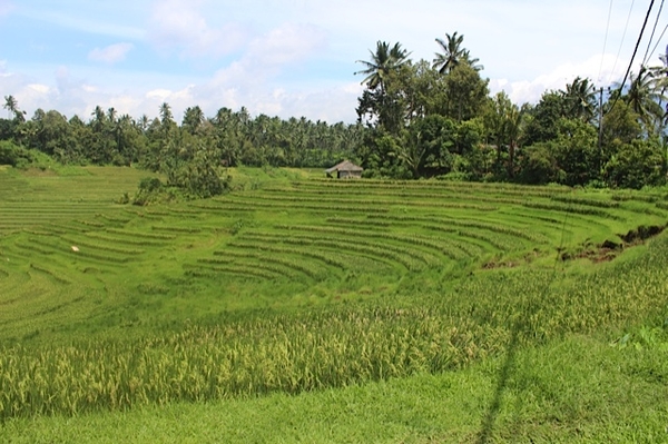 Vihara Dharma Giri