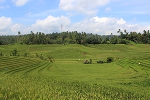 Vihara Dharma Giri