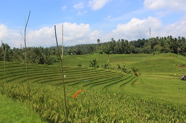 Vihara Dharma Giri