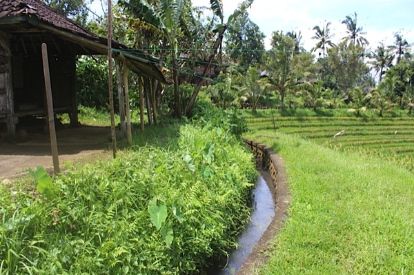 Vihara Dharma Giri