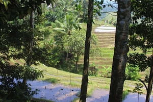 Vihara Dharma Giri