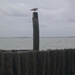 dagje zeeland