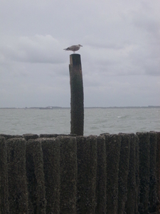 dagje zeeland