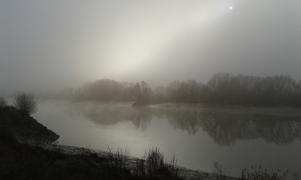 Nog een mooie rupelfoto van Lutgarde