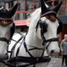 Roeselare-Sinterklaas-18-11-2017-