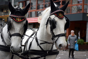 Roeselare-Sinterklaas-18-11-2017-