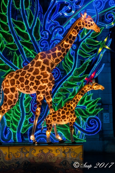 IMG_0798