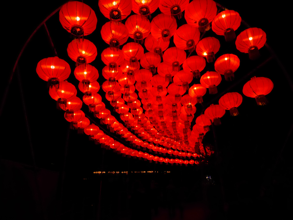 021P1010089