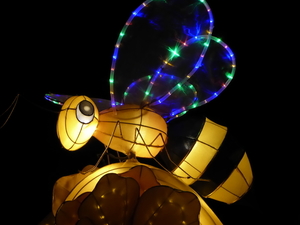 023P1010099