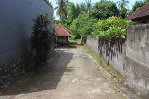Rondje Pura Wingin