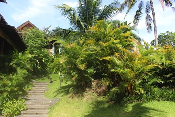 Alaya Resort Ubud