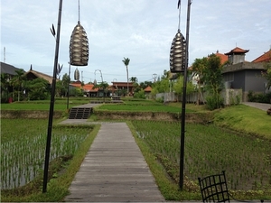 Alaya Resort Ubud