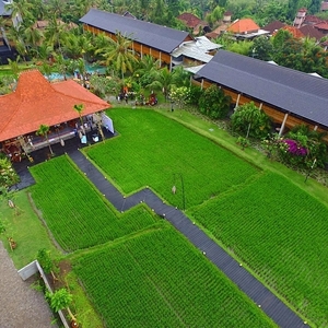 Alaya Resort Ubud