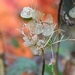 051