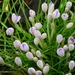 052