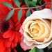 019