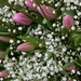 019