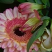 018
