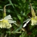 034