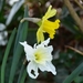 041