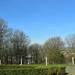 050