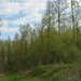 001  HET STILTE GEBIED .