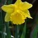 053